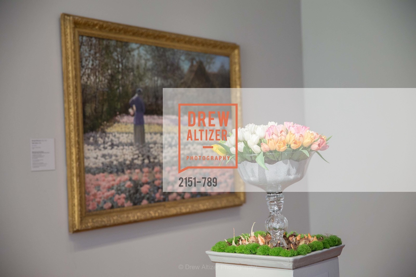 Atmosphere, ALONZO KING LINE'S Ballet Spring Gala 2015, US, April 12th, 2015,Drew Altizer, Drew Altizer Photography, full-service event agency, private events, San Francisco photographer, photographer California