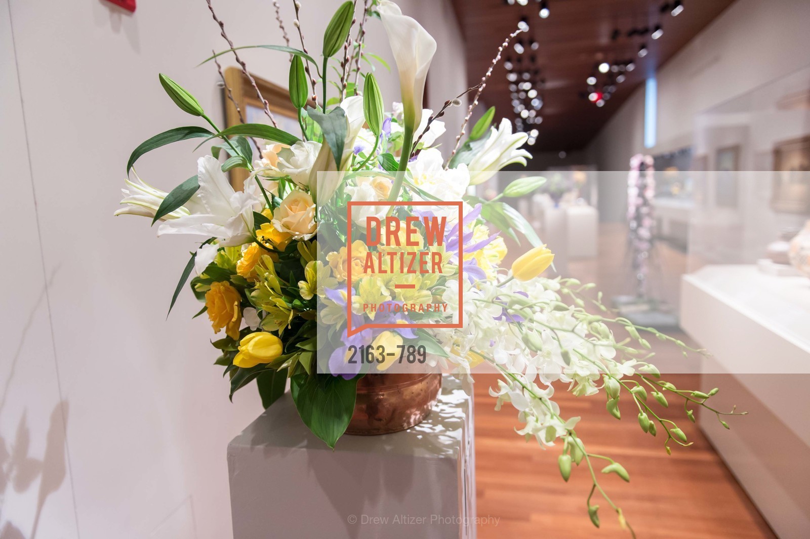 Atmosphere, ALONZO KING LINE'S Ballet Spring Gala 2015, US, April 12th, 2015,Drew Altizer, Drew Altizer Photography, full-service agency, private events, San Francisco photographer, photographer california