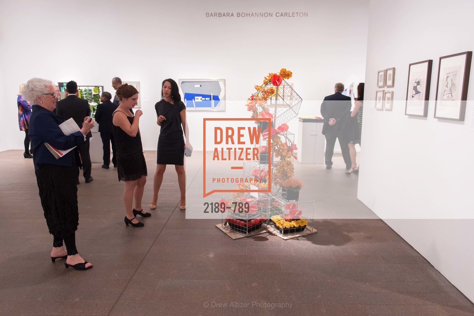 Atmosphere, ALONZO KING LINE'S Ballet Spring Gala 2015, US, April 12th, 2015,Drew Altizer, Drew Altizer Photography, full-service agency, private events, San Francisco photographer, photographer california