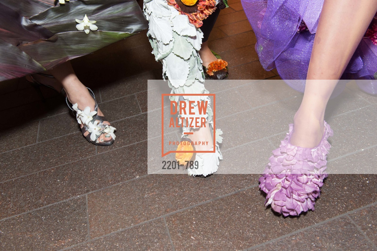 Atmosphere, ALONZO KING LINE'S Ballet Spring Gala 2015, US, April 12th, 2015,Drew Altizer, Drew Altizer Photography, full-service agency, private events, San Francisco photographer, photographer california