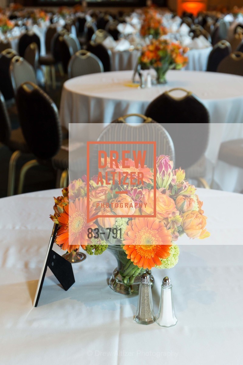 Atmosphere, SAN FRANCISCO HERITAGE Soiree 2015, US, April 19th, 2015,Drew Altizer, Drew Altizer Photography, full-service agency, private events, San Francisco photographer, photographer california