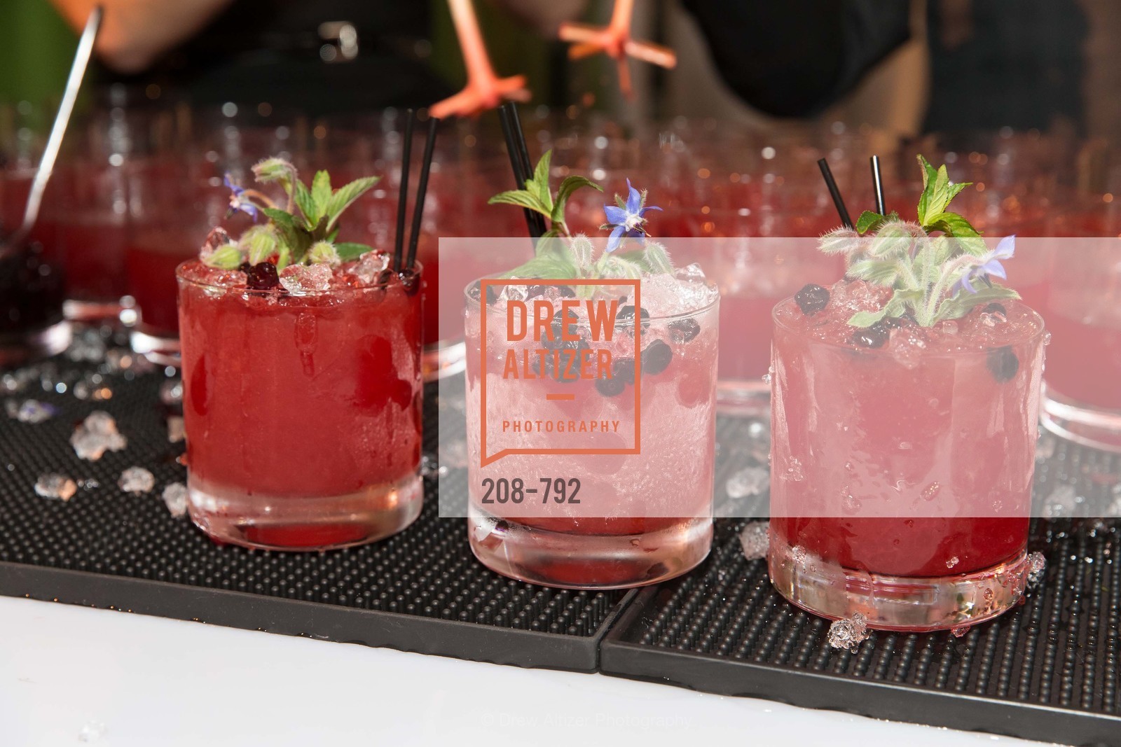 Estate Events of Meadowoods, MEALS ON WHEELS OF SAN FRANCISCO'S 28th Annual Star Chefs and Vintners Gala, US, April 20th, 2015,Drew Altizer, Drew Altizer Photography, full-service agency, private events, San Francisco photographer, photographer california