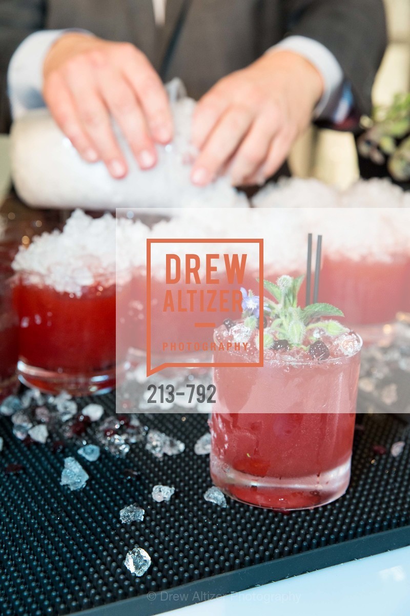 Estate Events of Meadowoods, MEALS ON WHEELS OF SAN FRANCISCO'S 28th Annual Star Chefs and Vintners Gala, US, April 20th, 2015,Drew Altizer, Drew Altizer Photography, full-service event agency, private events, San Francisco photographer, photographer California