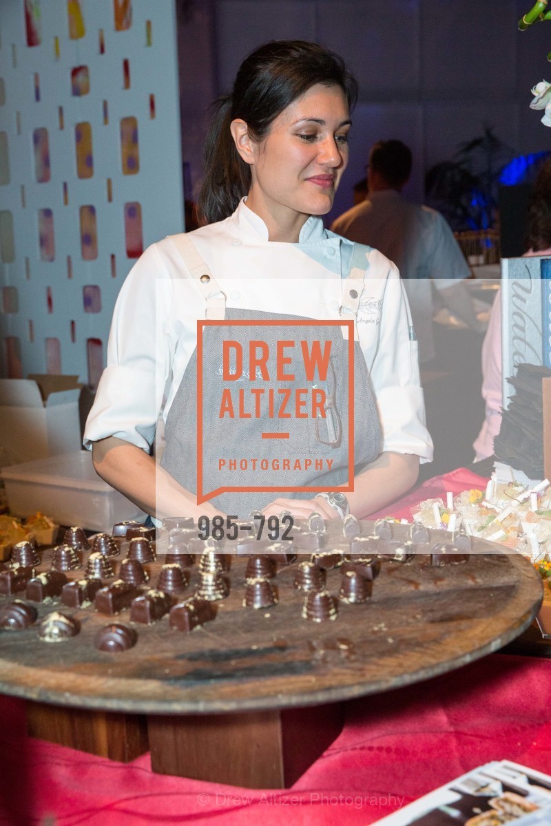 Angela Salvatore, MEALS ON WHEELS OF SAN FRANCISCO'S 28th Annual Star Chefs and Vintners Gala, US, April 20th, 2015,Drew Altizer, Drew Altizer Photography, full-service agency, private events, San Francisco photographer, photographer california