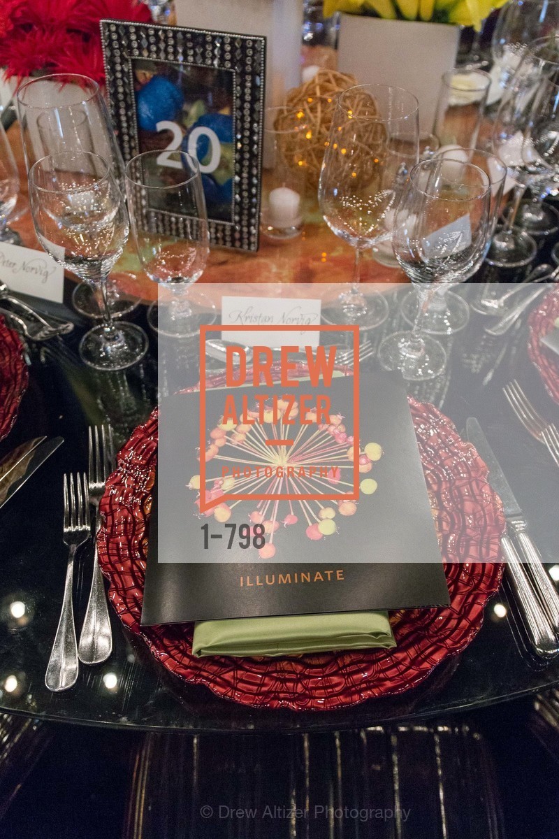 Atmosphere, CALIFORNIA ACADEMY OF SCIENCES - Big Bang Gala 2015, US, April 24th, 2015,Drew Altizer, Drew Altizer Photography, full-service agency, private events, San Francisco photographer, photographer california