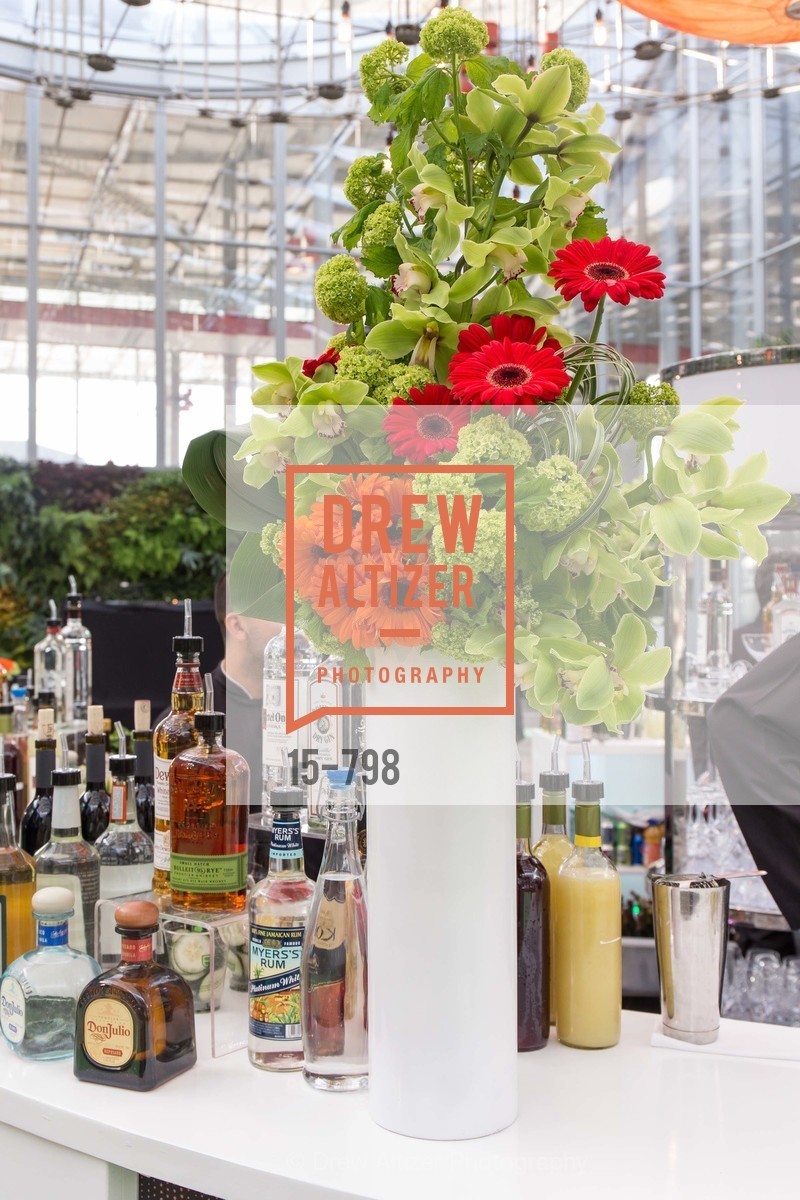 Atmosphere, CALIFORNIA ACADEMY OF SCIENCES - Big Bang Gala 2015, US, April 24th, 2015,Drew Altizer, Drew Altizer Photography, full-service agency, private events, San Francisco photographer, photographer california