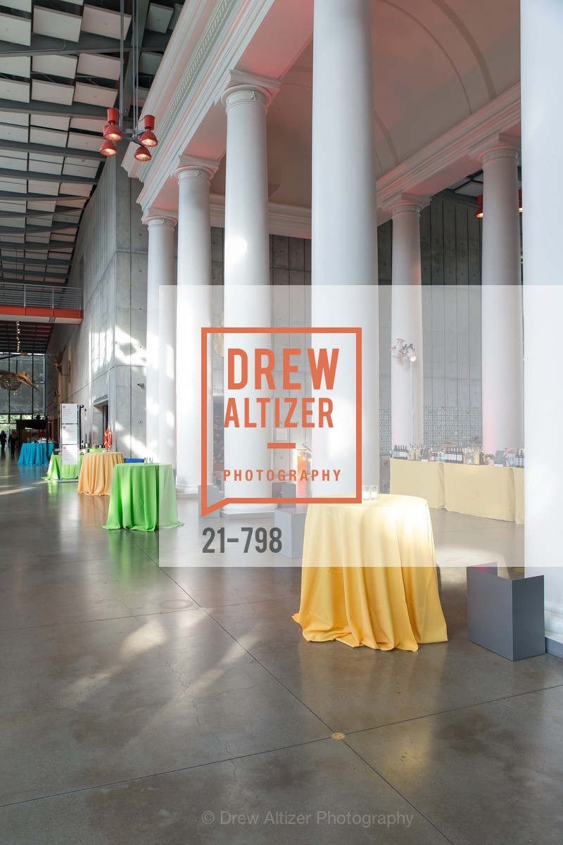Atmosphere, CALIFORNIA ACADEMY OF SCIENCES - Big Bang Gala 2015, US, April 24th, 2015,Drew Altizer, Drew Altizer Photography, full-service agency, private events, San Francisco photographer, photographer california