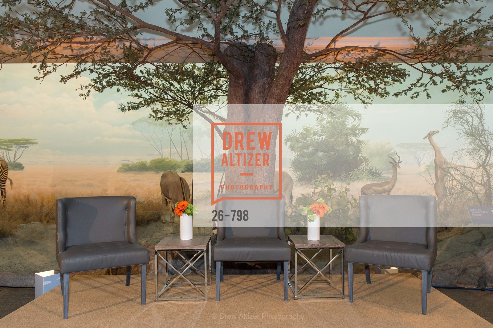 Atmosphere, CALIFORNIA ACADEMY OF SCIENCES - Big Bang Gala 2015, US, April 24th, 2015,Drew Altizer, Drew Altizer Photography, full-service event agency, private events, San Francisco photographer, photographer California