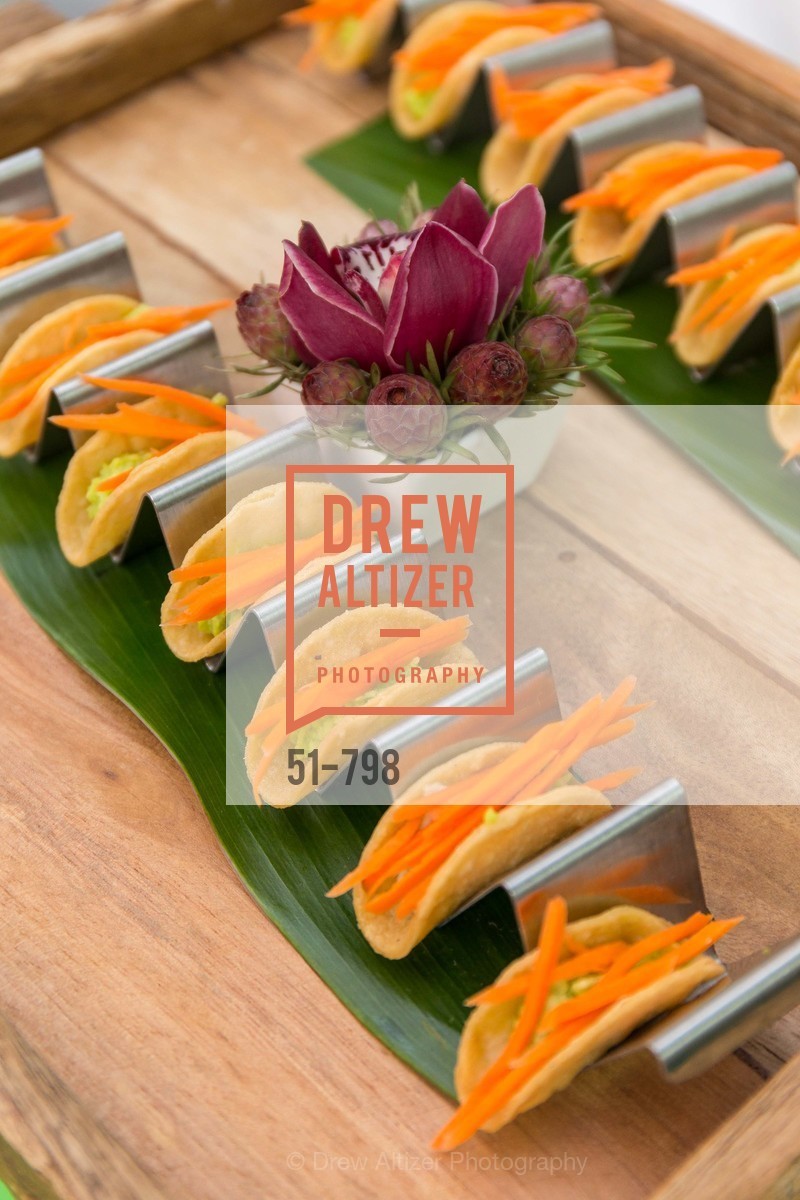 Atmosphere, CALIFORNIA ACADEMY OF SCIENCES - Big Bang Gala 2015, US, April 24th, 2015,Drew Altizer, Drew Altizer Photography, full-service agency, private events, San Francisco photographer, photographer california