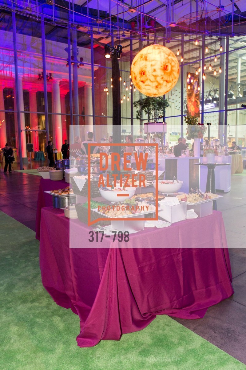 Atmosphere, CALIFORNIA ACADEMY OF SCIENCES - Big Bang Gala 2015, US, April 24th, 2015,Drew Altizer, Drew Altizer Photography, full-service agency, private events, San Francisco photographer, photographer california
