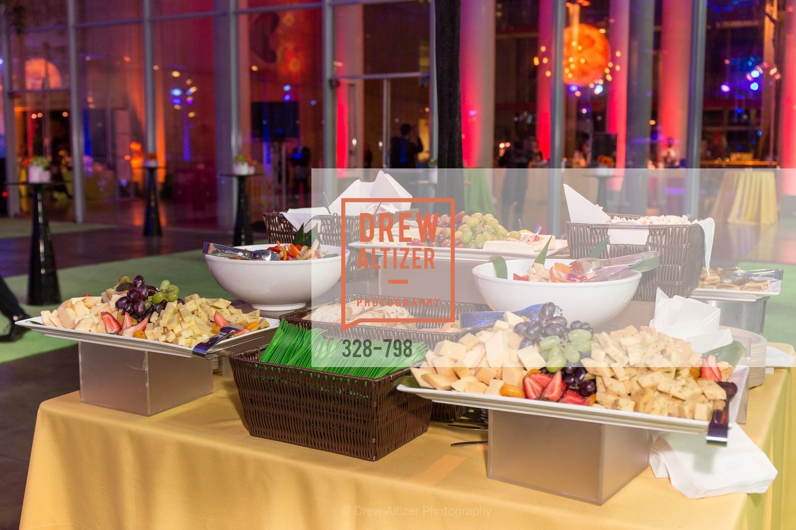 Atmosphere, CALIFORNIA ACADEMY OF SCIENCES - Big Bang Gala 2015, US, April 24th, 2015,Drew Altizer, Drew Altizer Photography, full-service agency, private events, San Francisco photographer, photographer california