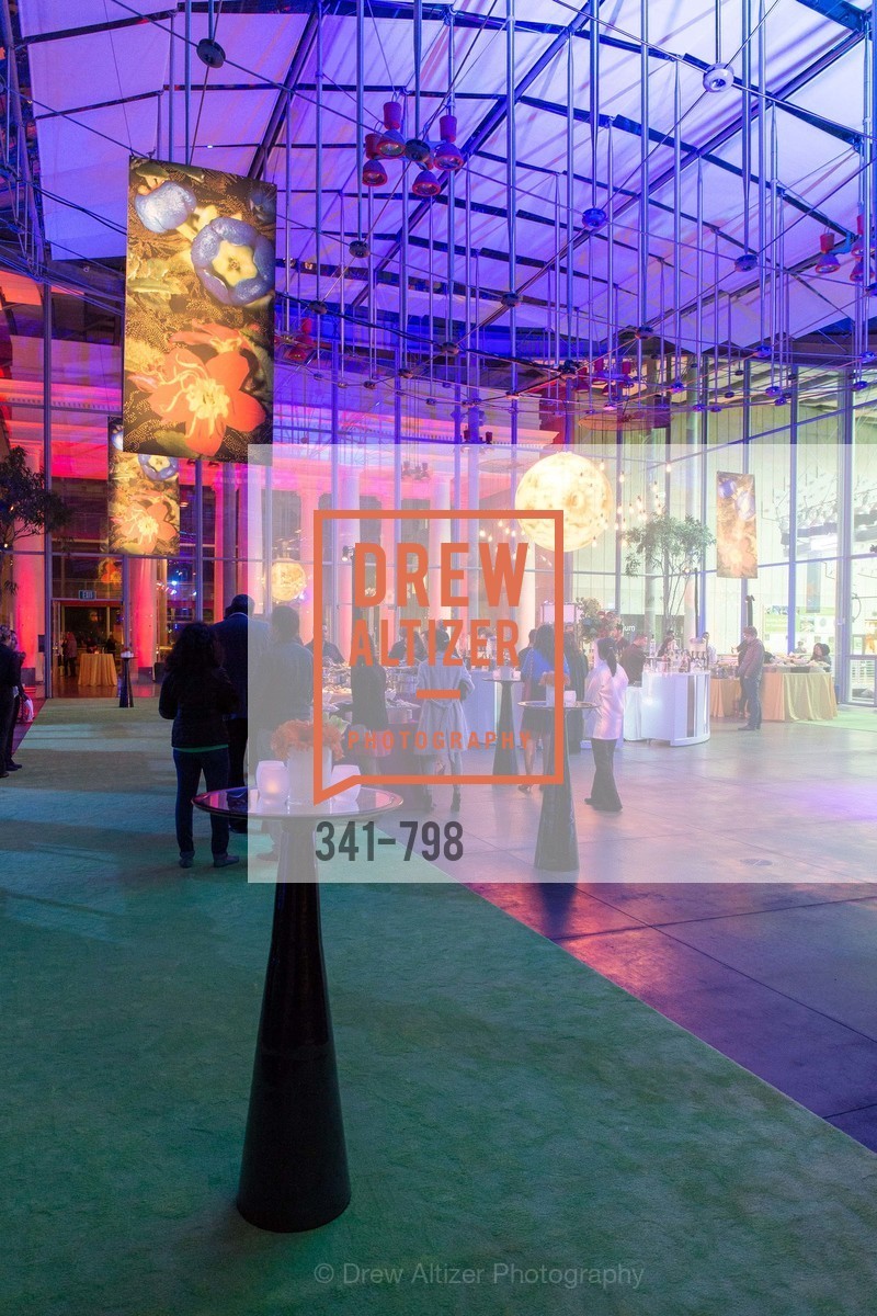Atmosphere, CALIFORNIA ACADEMY OF SCIENCES - Big Bang Gala 2015, US, April 24th, 2015,Drew Altizer, Drew Altizer Photography, full-service agency, private events, San Francisco photographer, photographer california
