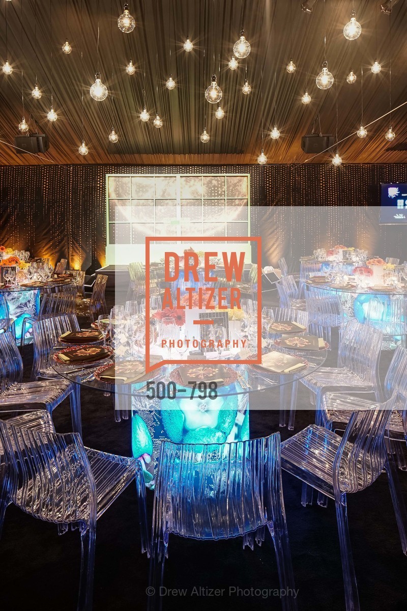 Atmosphere, CALIFORNIA ACADEMY OF SCIENCES - Big Bang Gala 2015, US, April 24th, 2015,Drew Altizer, Drew Altizer Photography, full-service agency, private events, San Francisco photographer, photographer california