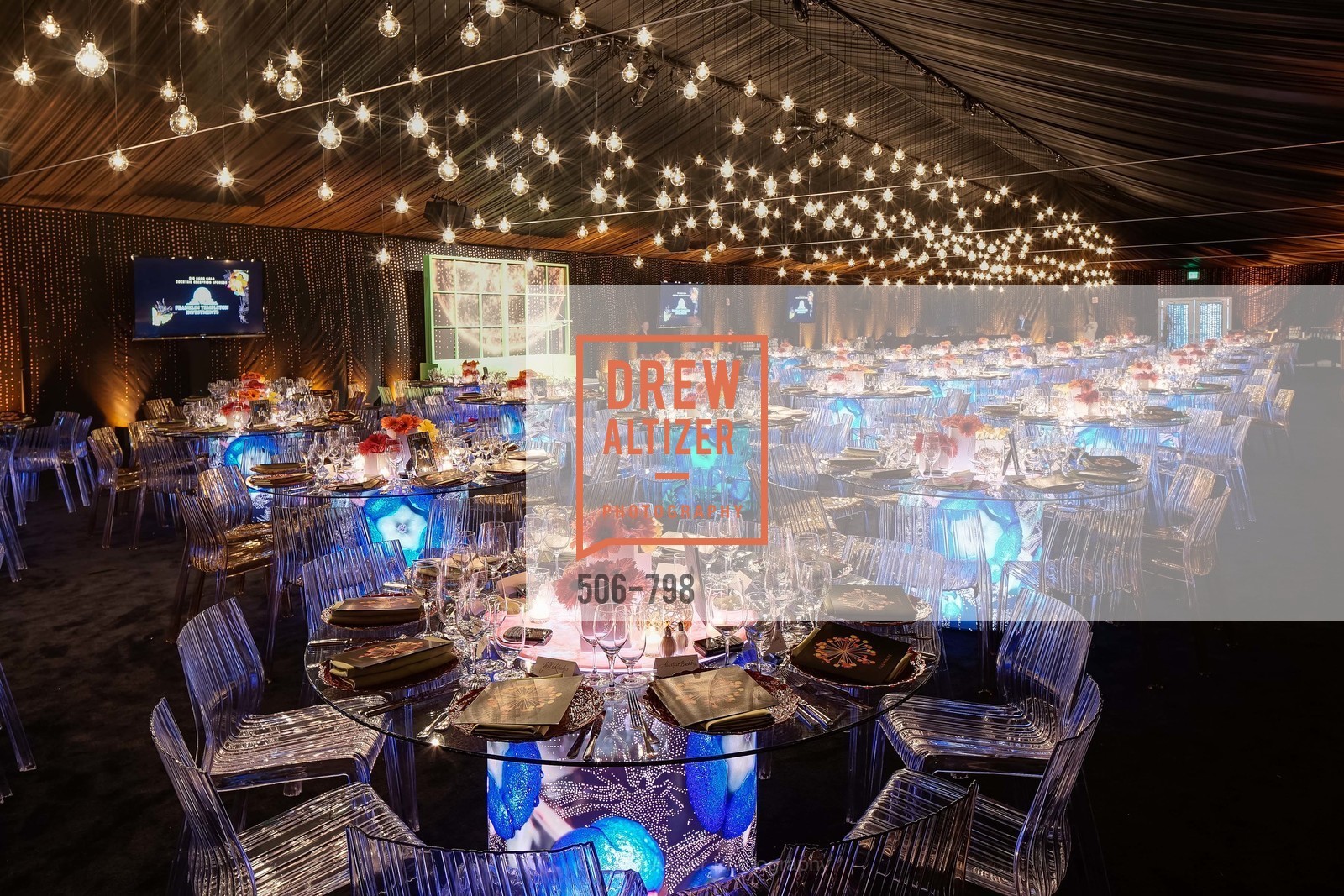 Atmosphere, CALIFORNIA ACADEMY OF SCIENCES - Big Bang Gala 2015, US, April 24th, 2015,Drew Altizer, Drew Altizer Photography, full-service event agency, private events, San Francisco photographer, photographer California