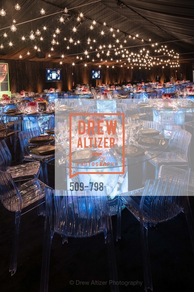 Atmosphere, CALIFORNIA ACADEMY OF SCIENCES - Big Bang Gala 2015, US, April 24th, 2015,Drew Altizer, Drew Altizer Photography, full-service agency, private events, San Francisco photographer, photographer california