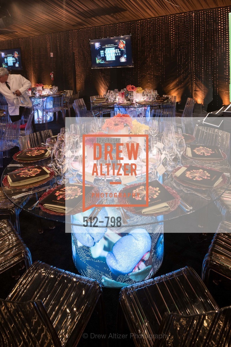 Atmosphere, CALIFORNIA ACADEMY OF SCIENCES - Big Bang Gala 2015, US, April 24th, 2015,Drew Altizer, Drew Altizer Photography, full-service agency, private events, San Francisco photographer, photographer california