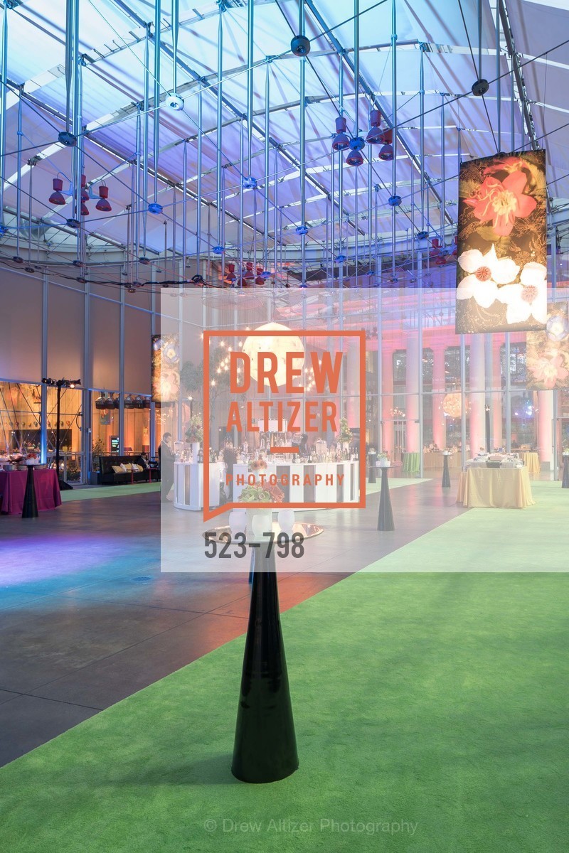 Atmosphere, CALIFORNIA ACADEMY OF SCIENCES - Big Bang Gala 2015, US, April 24th, 2015,Drew Altizer, Drew Altizer Photography, full-service agency, private events, San Francisco photographer, photographer california