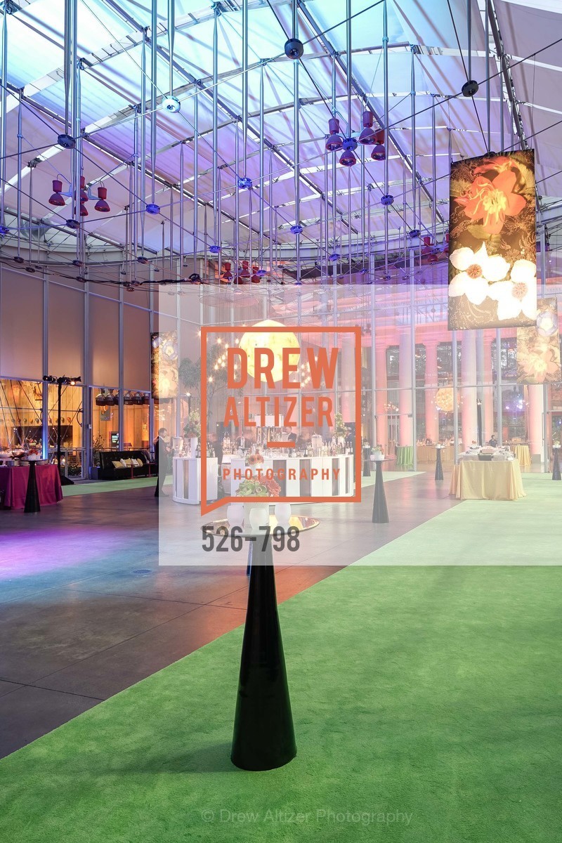 Atmosphere, CALIFORNIA ACADEMY OF SCIENCES - Big Bang Gala 2015, US, April 24th, 2015,Drew Altizer, Drew Altizer Photography, full-service agency, private events, San Francisco photographer, photographer california