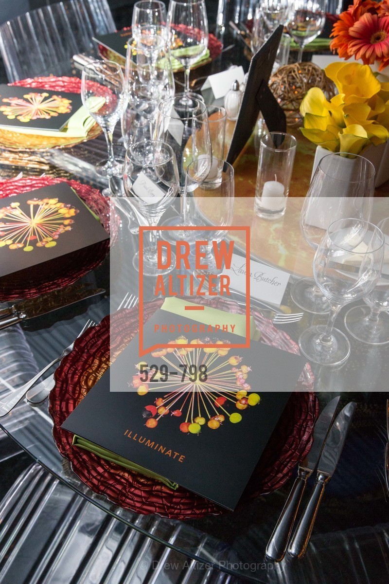 Atmosphere, CALIFORNIA ACADEMY OF SCIENCES - Big Bang Gala 2015, US, April 24th, 2015,Drew Altizer, Drew Altizer Photography, full-service agency, private events, San Francisco photographer, photographer california