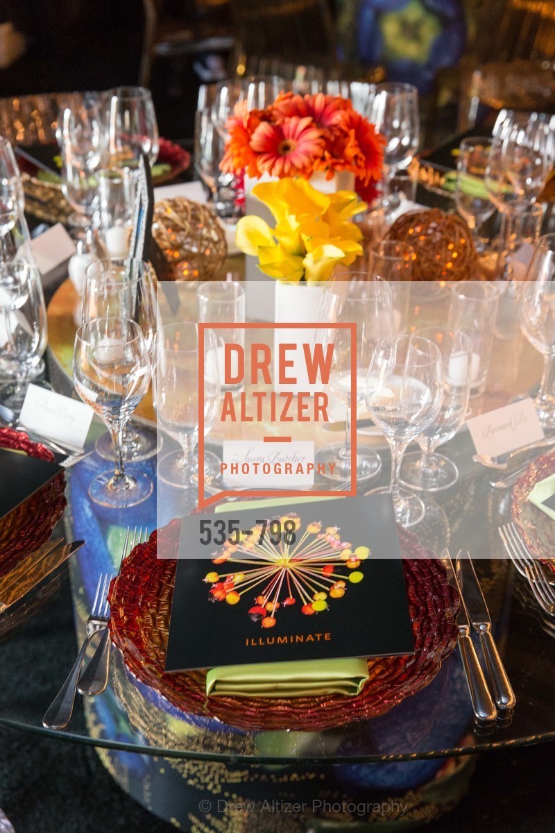 Atmosphere, CALIFORNIA ACADEMY OF SCIENCES - Big Bang Gala 2015, US, April 24th, 2015,Drew Altizer, Drew Altizer Photography, full-service agency, private events, San Francisco photographer, photographer california