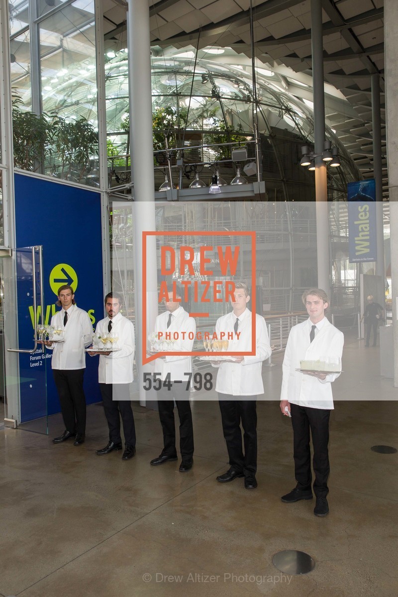 Atmosphere, CALIFORNIA ACADEMY OF SCIENCES - Big Bang Gala 2015, US, April 24th, 2015,Drew Altizer, Drew Altizer Photography, full-service agency, private events, San Francisco photographer, photographer california