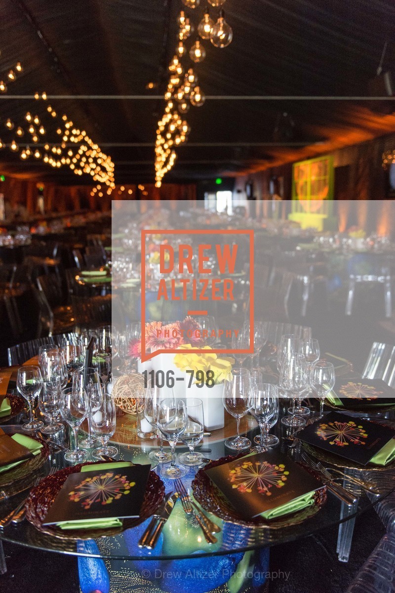 Atmosphere, CALIFORNIA ACADEMY OF SCIENCES - Big Bang Gala 2015, US, April 24th, 2015,Drew Altizer, Drew Altizer Photography, full-service agency, private events, San Francisco photographer, photographer california