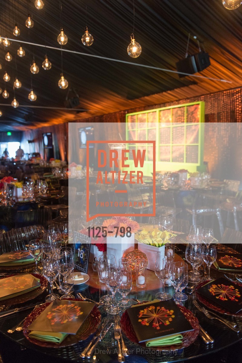 Atmosphere, CALIFORNIA ACADEMY OF SCIENCES - Big Bang Gala 2015, US, April 24th, 2015,Drew Altizer, Drew Altizer Photography, full-service event agency, private events, San Francisco photographer, photographer California