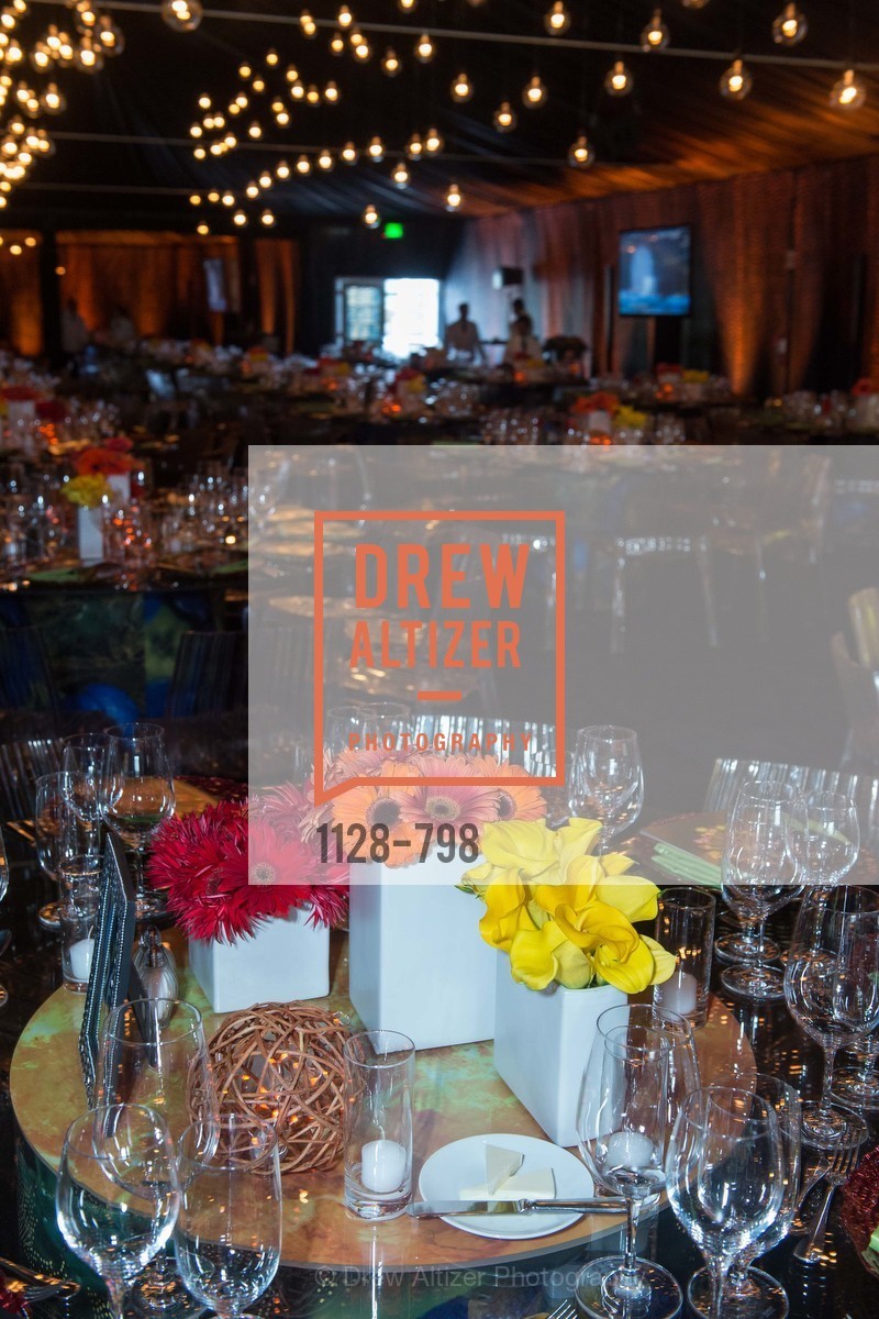 Atmosphere, CALIFORNIA ACADEMY OF SCIENCES - Big Bang Gala 2015, US, April 24th, 2015,Drew Altizer, Drew Altizer Photography, full-service agency, private events, San Francisco photographer, photographer california