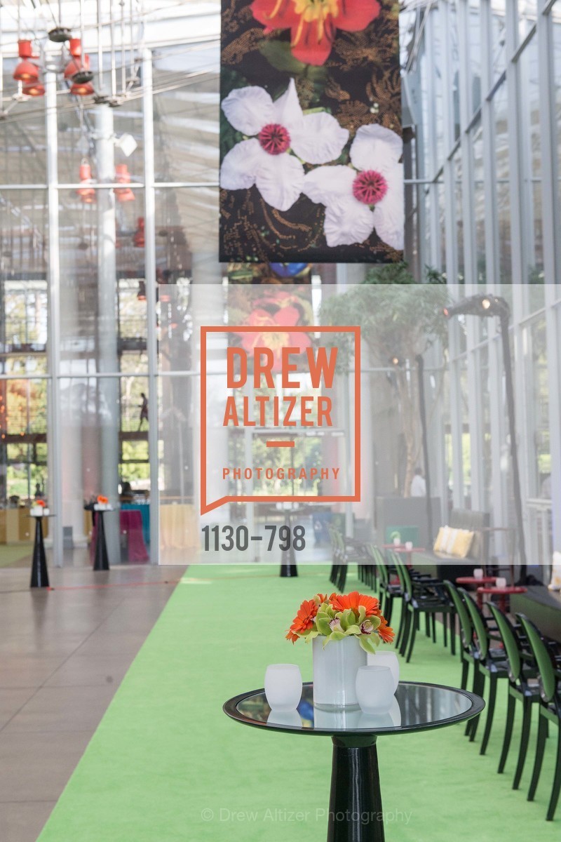 Atmosphere, CALIFORNIA ACADEMY OF SCIENCES - Big Bang Gala 2015, US, April 24th, 2015,Drew Altizer, Drew Altizer Photography, full-service agency, private events, San Francisco photographer, photographer california