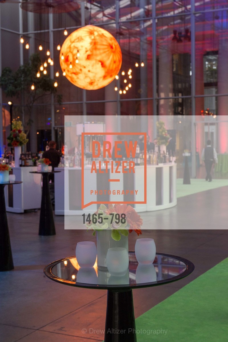 Atmosphere, CALIFORNIA ACADEMY OF SCIENCES - Big Bang Gala 2015, US, April 24th, 2015,Drew Altizer, Drew Altizer Photography, full-service agency, private events, San Francisco photographer, photographer california