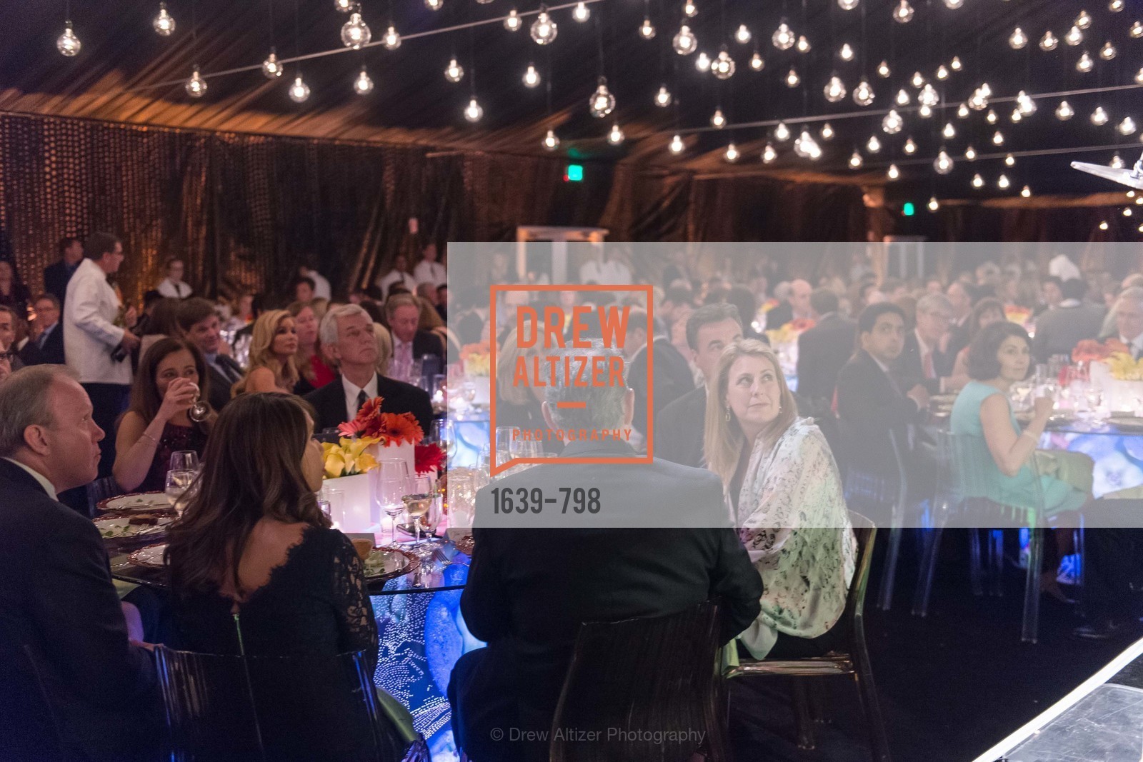 Atmosphere, CALIFORNIA ACADEMY OF SCIENCES - Big Bang Gala 2015, US, April 24th, 2015,Drew Altizer, Drew Altizer Photography, full-service agency, private events, San Francisco photographer, photographer california