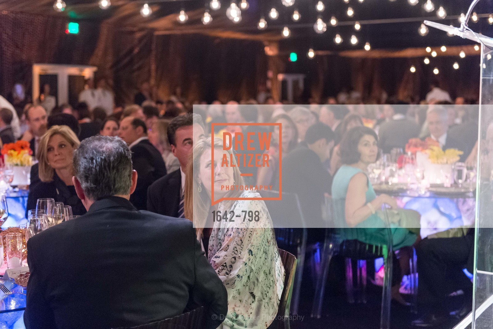 Atmosphere, CALIFORNIA ACADEMY OF SCIENCES - Big Bang Gala 2015, US, April 24th, 2015,Drew Altizer, Drew Altizer Photography, full-service agency, private events, San Francisco photographer, photographer california