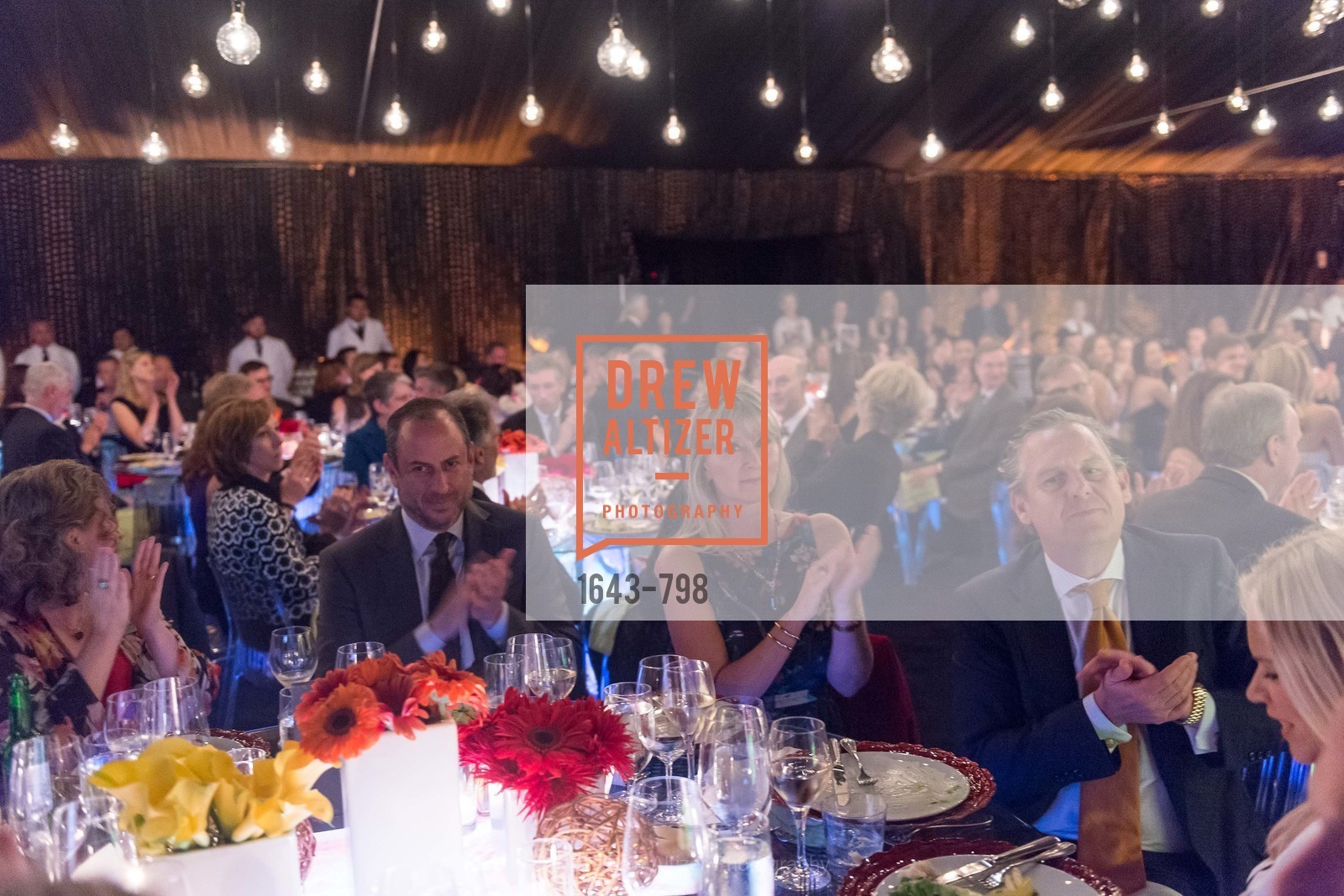 Atmosphere, CALIFORNIA ACADEMY OF SCIENCES - Big Bang Gala 2015, US, April 24th, 2015,Drew Altizer, Drew Altizer Photography, full-service agency, private events, San Francisco photographer, photographer california