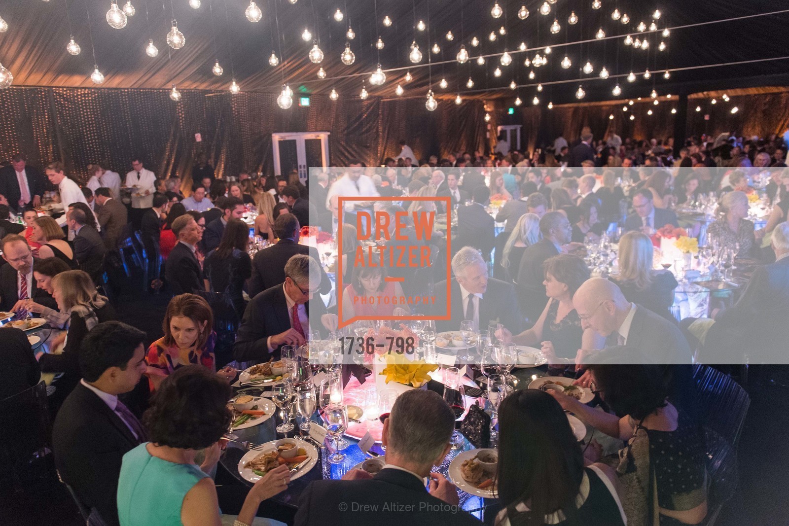 Atmosphere, CALIFORNIA ACADEMY OF SCIENCES - Big Bang Gala 2015, US, April 24th, 2015,Drew Altizer, Drew Altizer Photography, full-service agency, private events, San Francisco photographer, photographer california