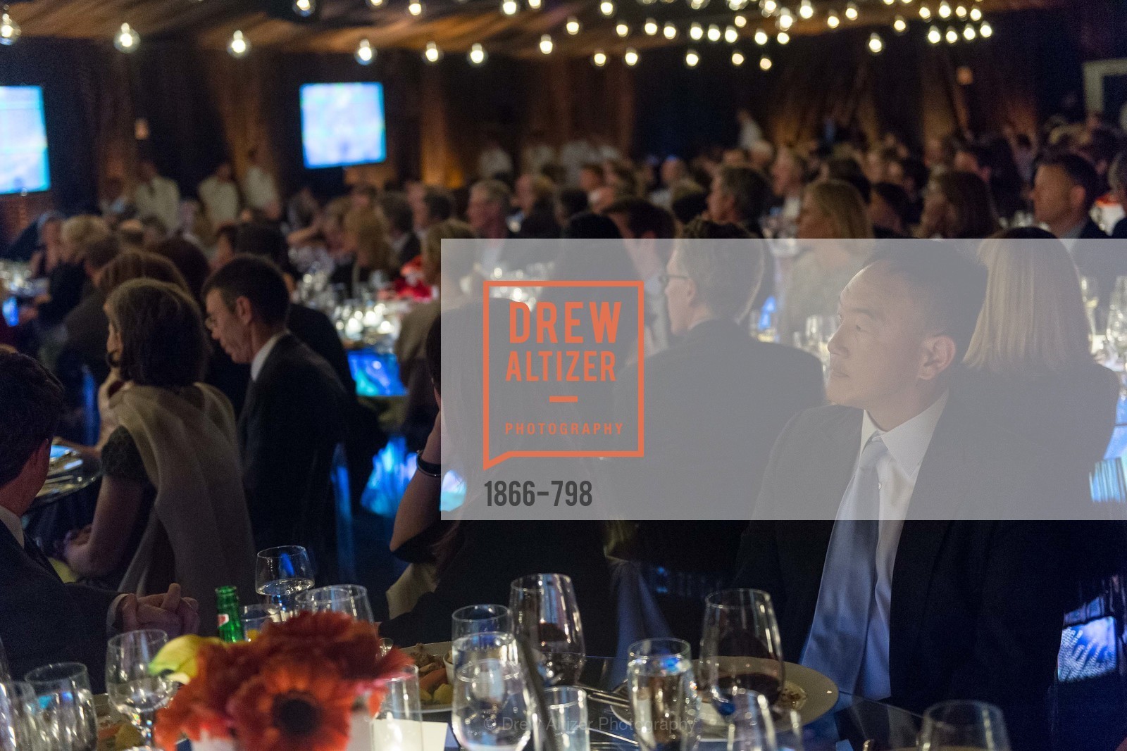 Atmosphere, CALIFORNIA ACADEMY OF SCIENCES - Big Bang Gala 2015, US, April 24th, 2015,Drew Altizer, Drew Altizer Photography, full-service event agency, private events, San Francisco photographer, photographer California
