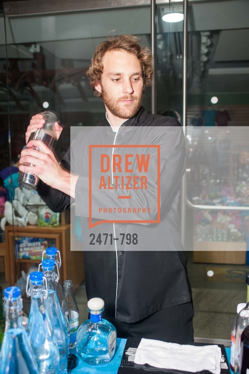 Atmosphere, CALIFORNIA ACADEMY OF SCIENCES - Big Bang Gala 2015, US, April 24th, 2015,Drew Altizer, Drew Altizer Photography, full-service agency, private events, San Francisco photographer, photographer california
