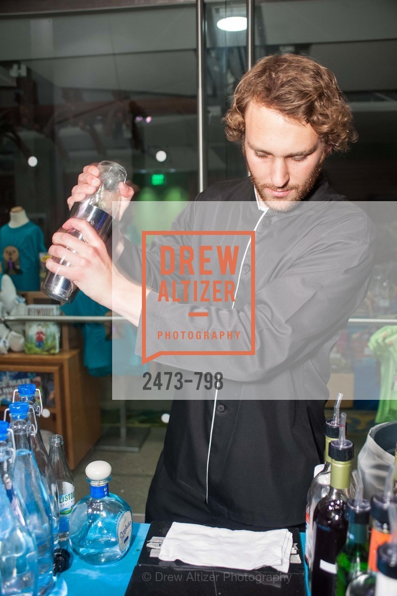 Atmosphere, CALIFORNIA ACADEMY OF SCIENCES - Big Bang Gala 2015, US, April 24th, 2015,Drew Altizer, Drew Altizer Photography, full-service agency, private events, San Francisco photographer, photographer california