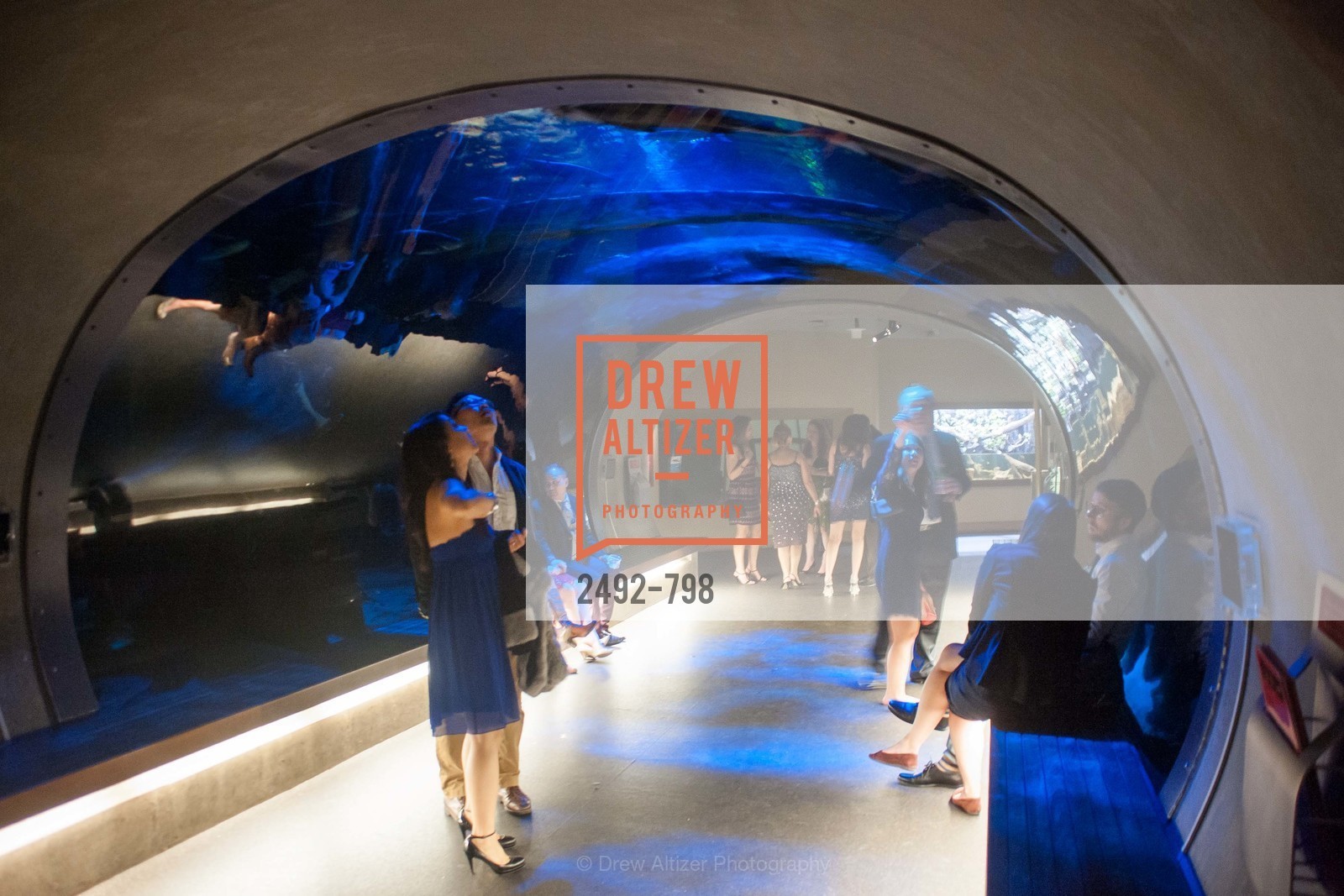 Atmosphere, CALIFORNIA ACADEMY OF SCIENCES - Big Bang Gala 2015, US, April 24th, 2015,Drew Altizer, Drew Altizer Photography, full-service agency, private events, San Francisco photographer, photographer california