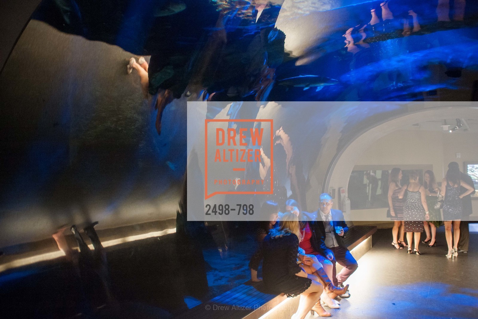 Atmosphere, CALIFORNIA ACADEMY OF SCIENCES - Big Bang Gala 2015, US, April 24th, 2015,Drew Altizer, Drew Altizer Photography, full-service agency, private events, San Francisco photographer, photographer california