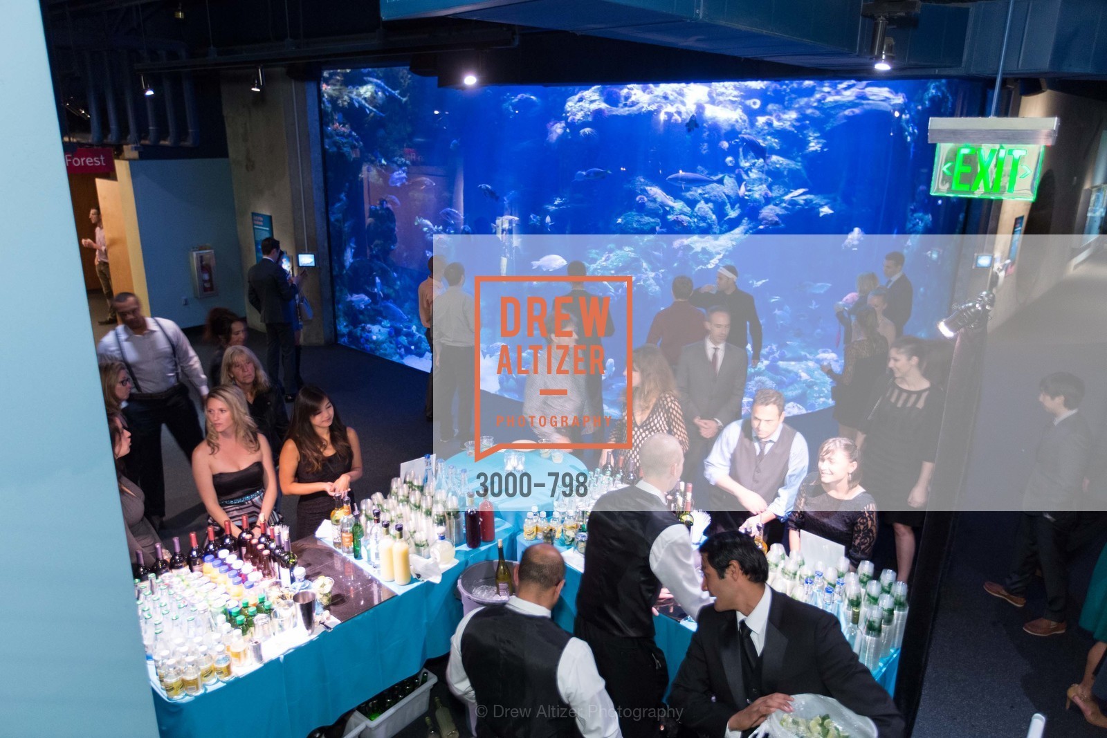 Atmosphere, CALIFORNIA ACADEMY OF SCIENCES - Big Bang Gala 2015, US, April 24th, 2015,Drew Altizer, Drew Altizer Photography, full-service agency, private events, San Francisco photographer, photographer california
