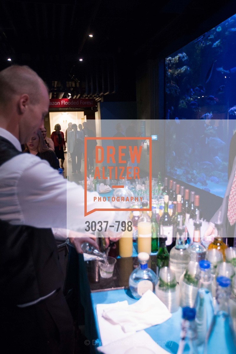 Atmosphere, CALIFORNIA ACADEMY OF SCIENCES - Big Bang Gala 2015, US, April 24th, 2015,Drew Altizer, Drew Altizer Photography, full-service agency, private events, San Francisco photographer, photographer california