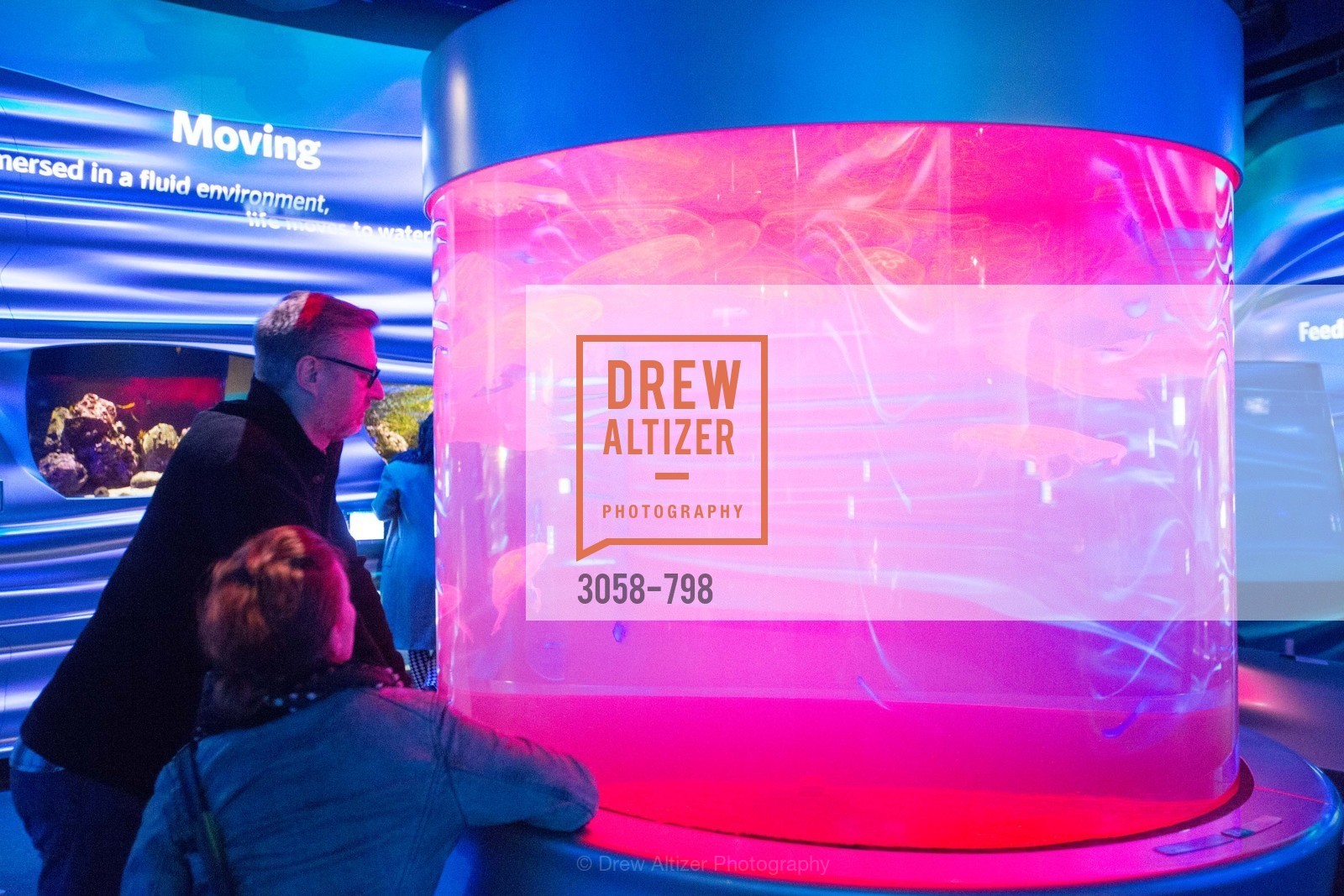 Atmosphere, CALIFORNIA ACADEMY OF SCIENCES - Big Bang Gala 2015, US, April 24th, 2015,Drew Altizer, Drew Altizer Photography, full-service event agency, private events, San Francisco photographer, photographer California