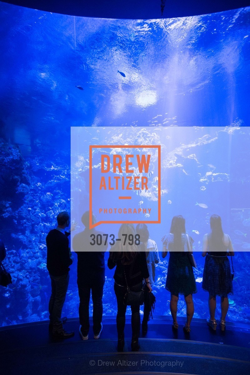 Atmosphere, CALIFORNIA ACADEMY OF SCIENCES - Big Bang Gala 2015, US, April 24th, 2015,Drew Altizer, Drew Altizer Photography, full-service agency, private events, San Francisco photographer, photographer california