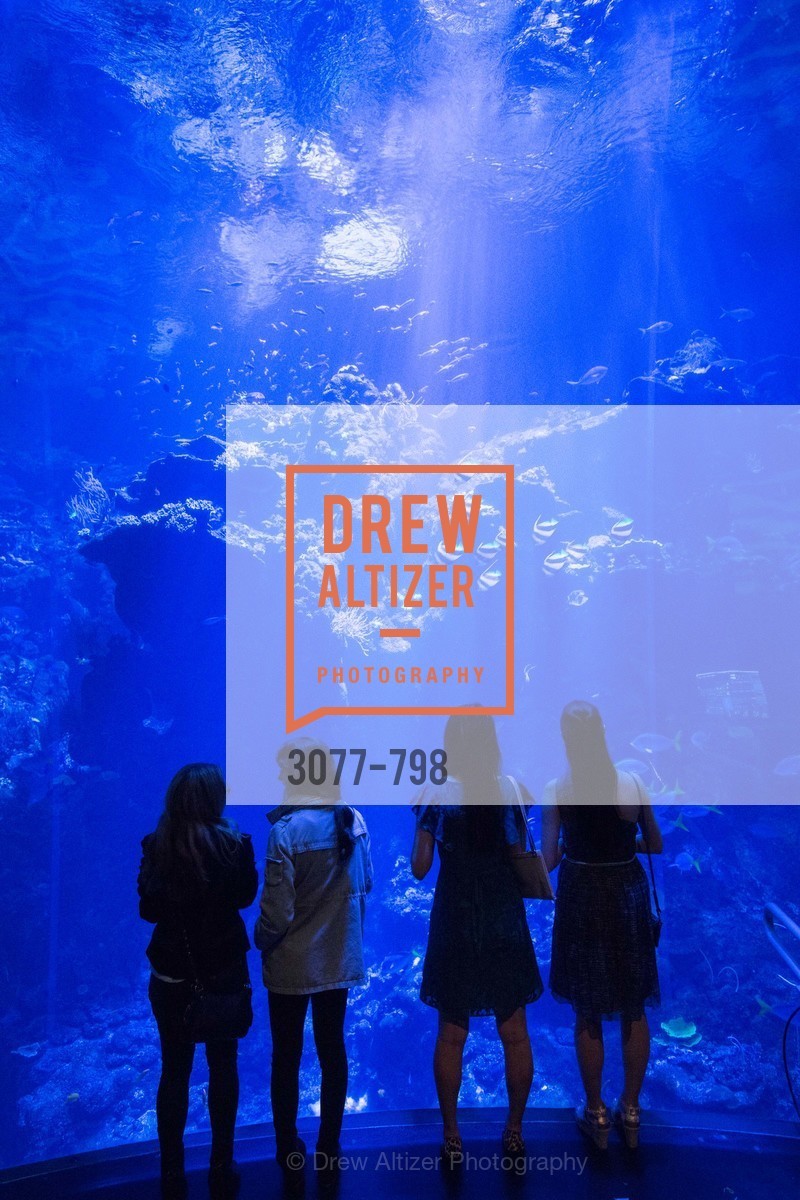 Atmosphere, CALIFORNIA ACADEMY OF SCIENCES - Big Bang Gala 2015, US, April 24th, 2015,Drew Altizer, Drew Altizer Photography, full-service agency, private events, San Francisco photographer, photographer california