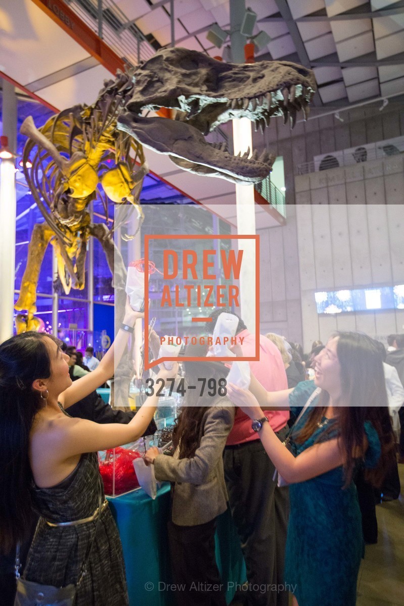 Atmosphere, CALIFORNIA ACADEMY OF SCIENCES - Big Bang Gala 2015, US, April 24th, 2015,Drew Altizer, Drew Altizer Photography, full-service agency, private events, San Francisco photographer, photographer california