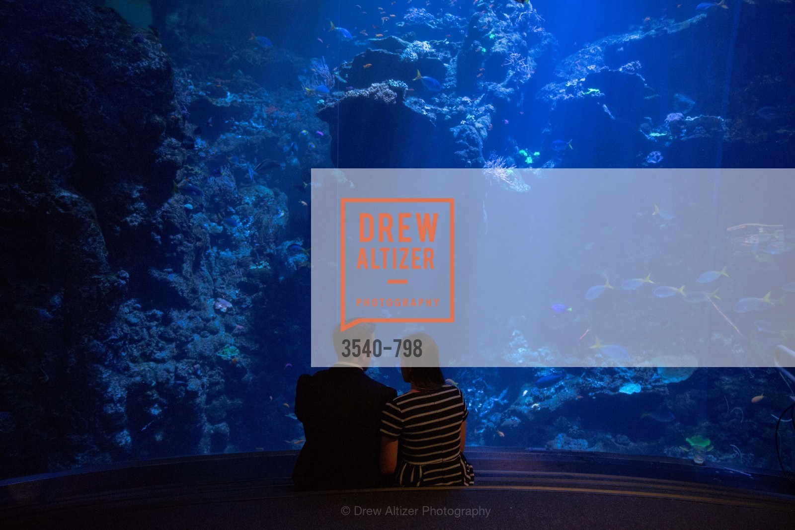 Atmosphere, CALIFORNIA ACADEMY OF SCIENCES - Big Bang Gala 2015, US, April 24th, 2015,Drew Altizer, Drew Altizer Photography, full-service event agency, private events, San Francisco photographer, photographer California