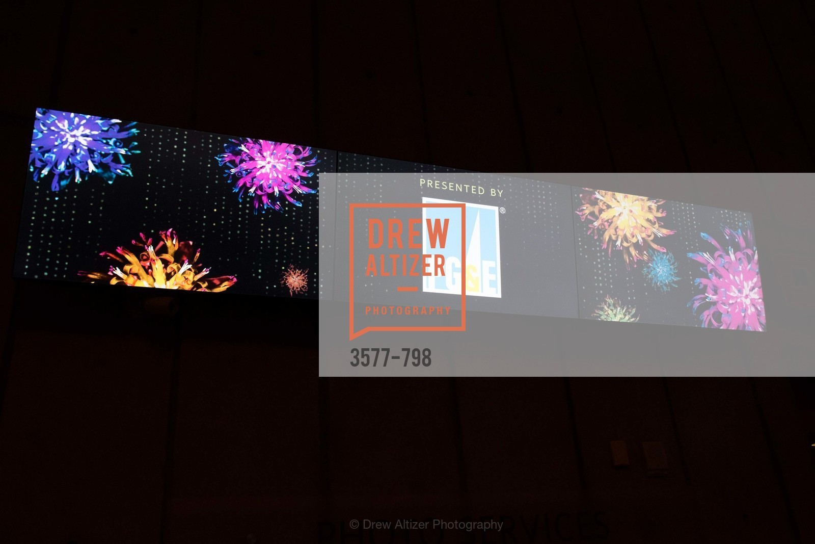 Atmosphere, CALIFORNIA ACADEMY OF SCIENCES - Big Bang Gala 2015, US, April 24th, 2015,Drew Altizer, Drew Altizer Photography, full-service agency, private events, San Francisco photographer, photographer california