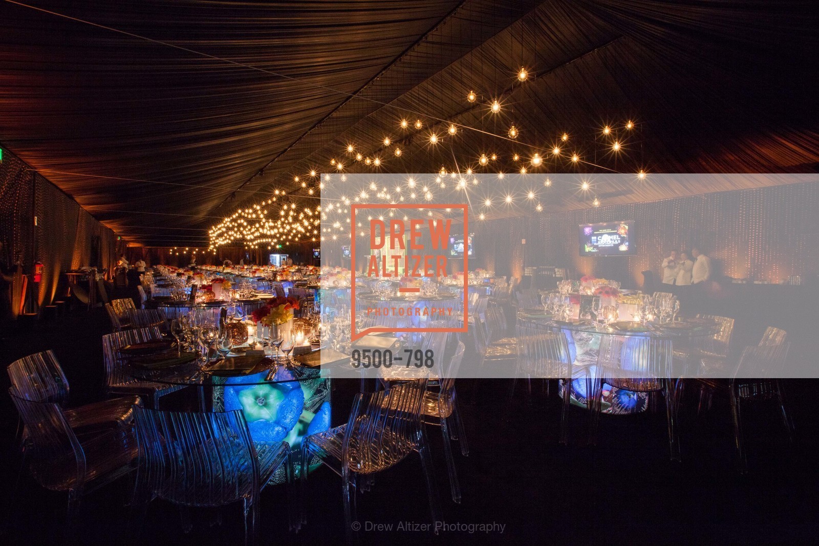 Atmosphere, CALIFORNIA ACADEMY OF SCIENCES - Big Bang Gala 2015, US, April 24th, 2015,Drew Altizer, Drew Altizer Photography, full-service agency, private events, San Francisco photographer, photographer california