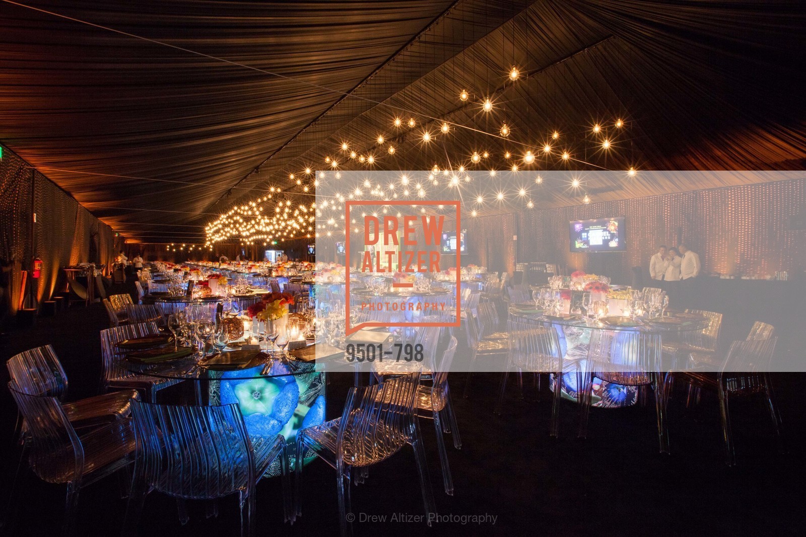 Atmosphere, CALIFORNIA ACADEMY OF SCIENCES - Big Bang Gala 2015, US, April 24th, 2015,Drew Altizer, Drew Altizer Photography, full-service agency, private events, San Francisco photographer, photographer california