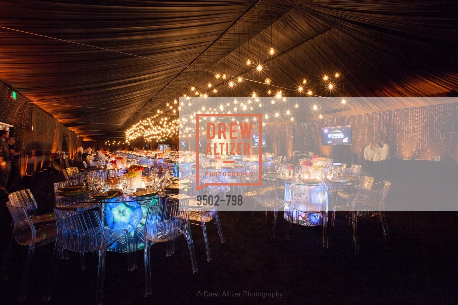 Atmosphere, CALIFORNIA ACADEMY OF SCIENCES - Big Bang Gala 2015, US, April 24th, 2015,Drew Altizer, Drew Altizer Photography, full-service agency, private events, San Francisco photographer, photographer california